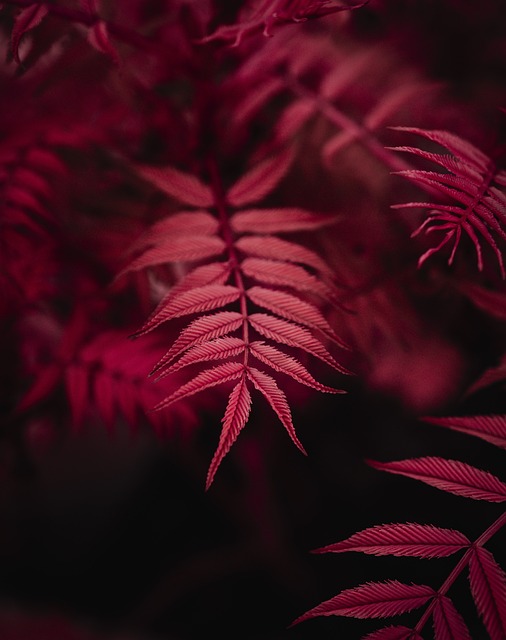 Tải 8xbet cho iPhone - Trải nghiệm game chất lượng trên điện thoại